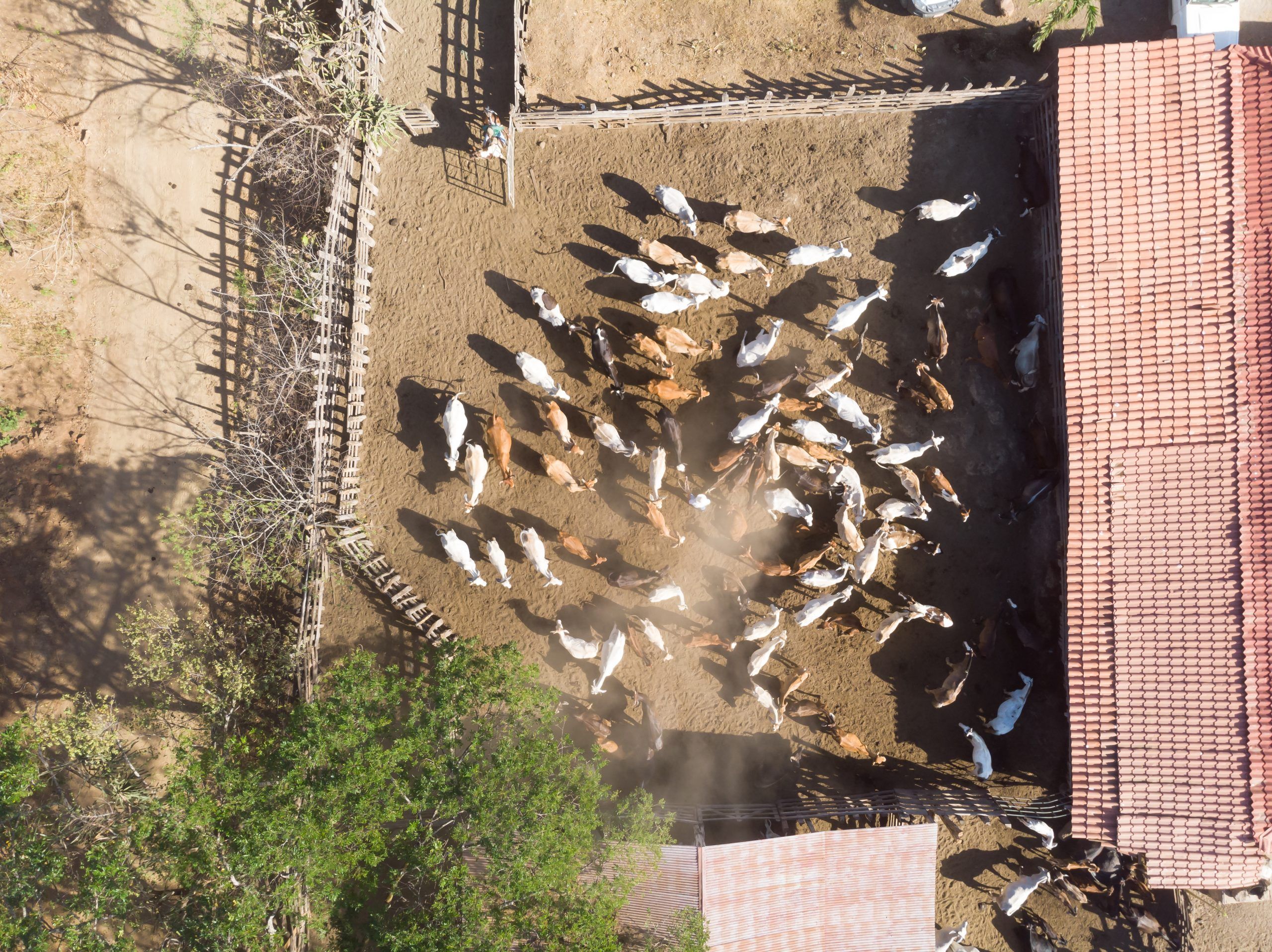 Finca Las Garzas